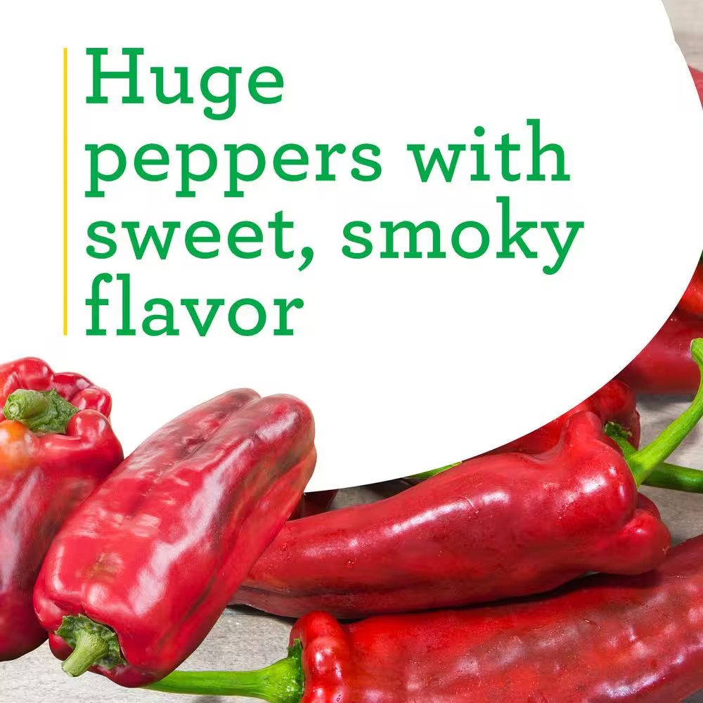 19.3 Oz. Giant Marconi Pepper Plant, (2-Pack)