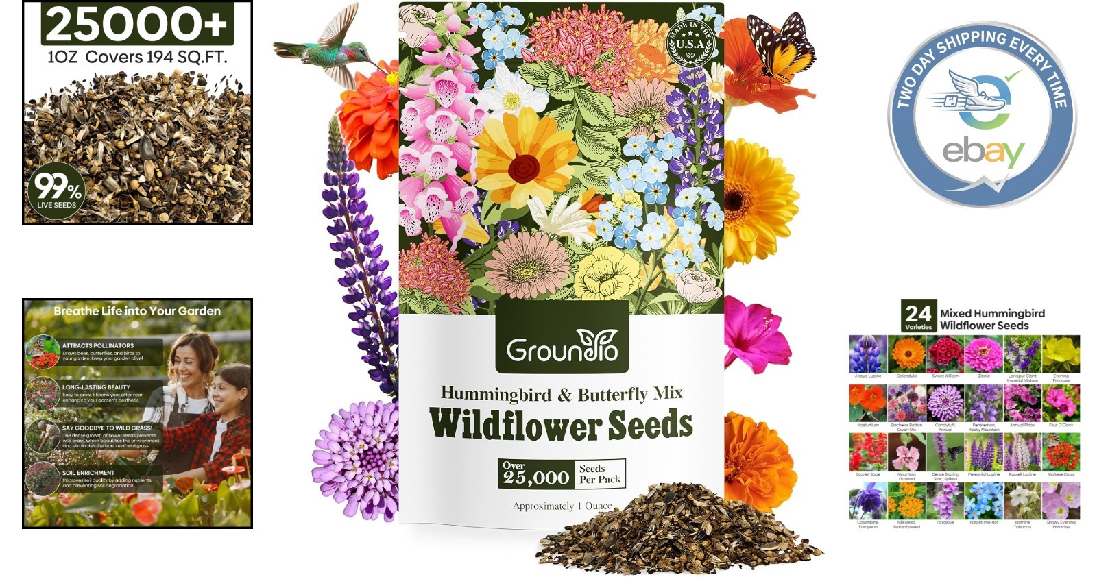 Colorful Wildflower Seed Mix – 24 Varieties, Attracts Hummingbirds & Butterflies