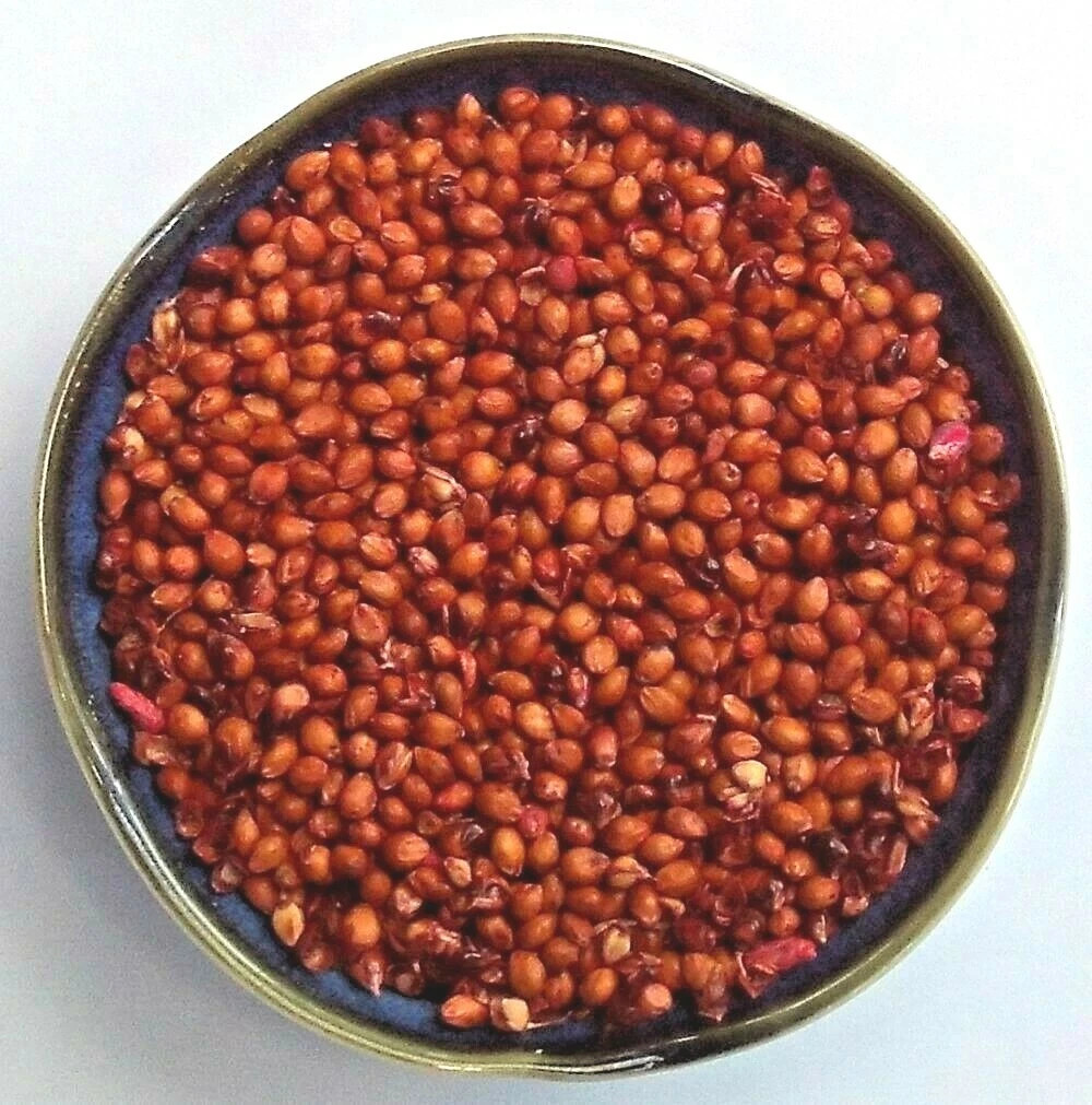 1 pound Sorghum Seeds Rox Orange Syrup Cane Non-GMO Heirloom