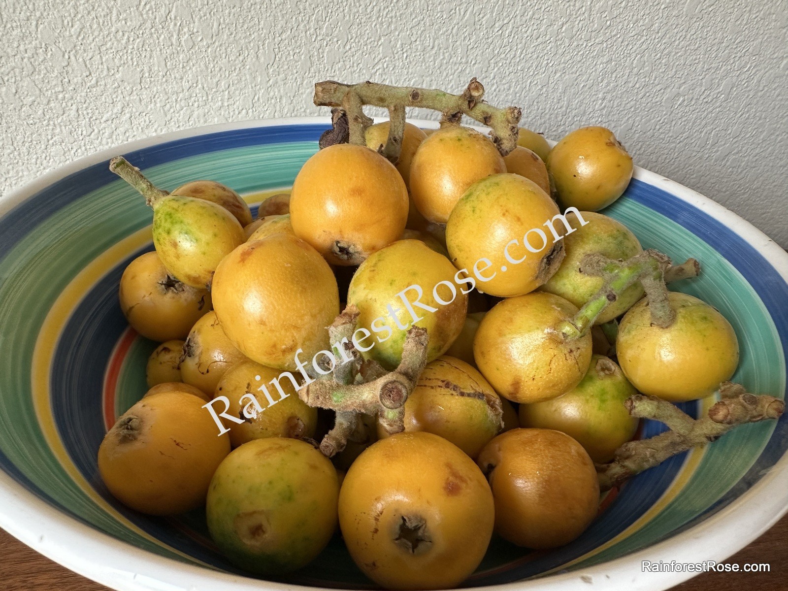 20 fresh Loquat seeds delicious fruit, sweet, sour vitamin Rosaceae Rose family
