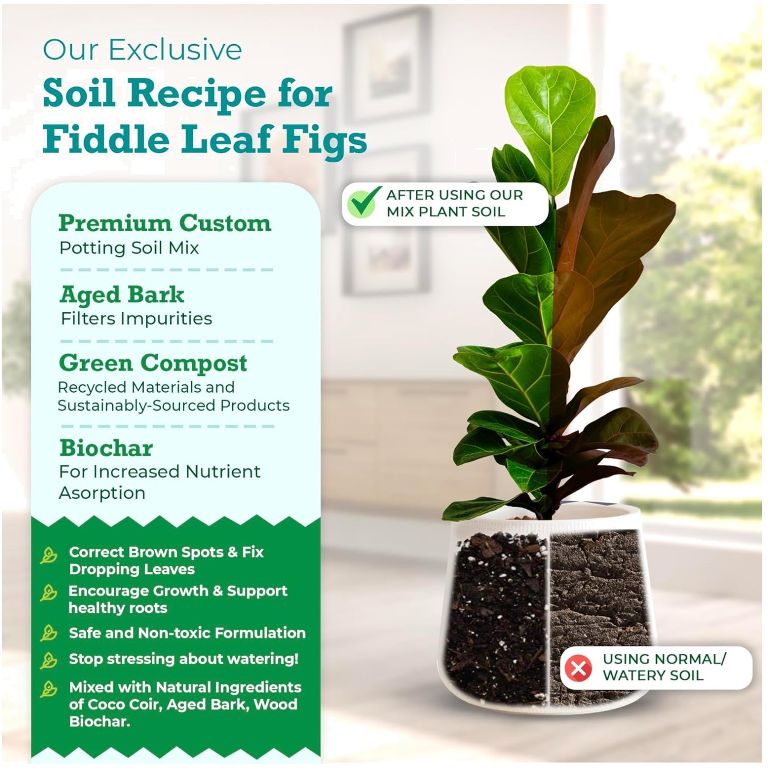 Potting Mix for Indoor Trees | Biochar & Bark Blend//