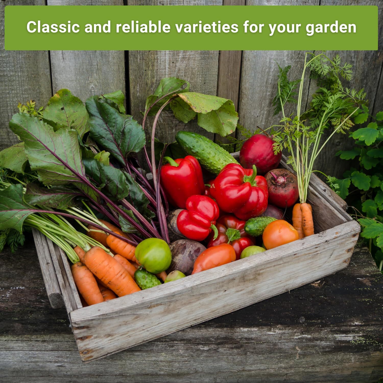 – Classic Vegetable Garden Seed Collection for Planting – Non-GMO Heirloom Br…