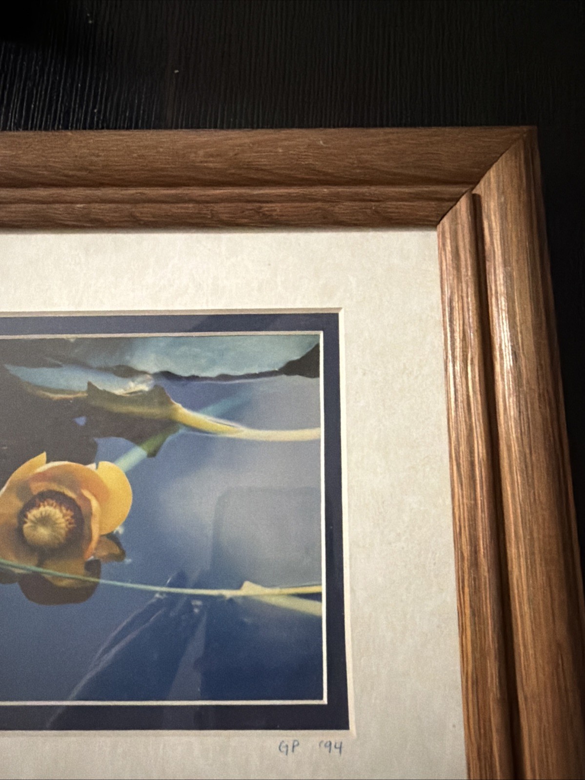 Yellow Water Lily Pad – Alaska GP 94
