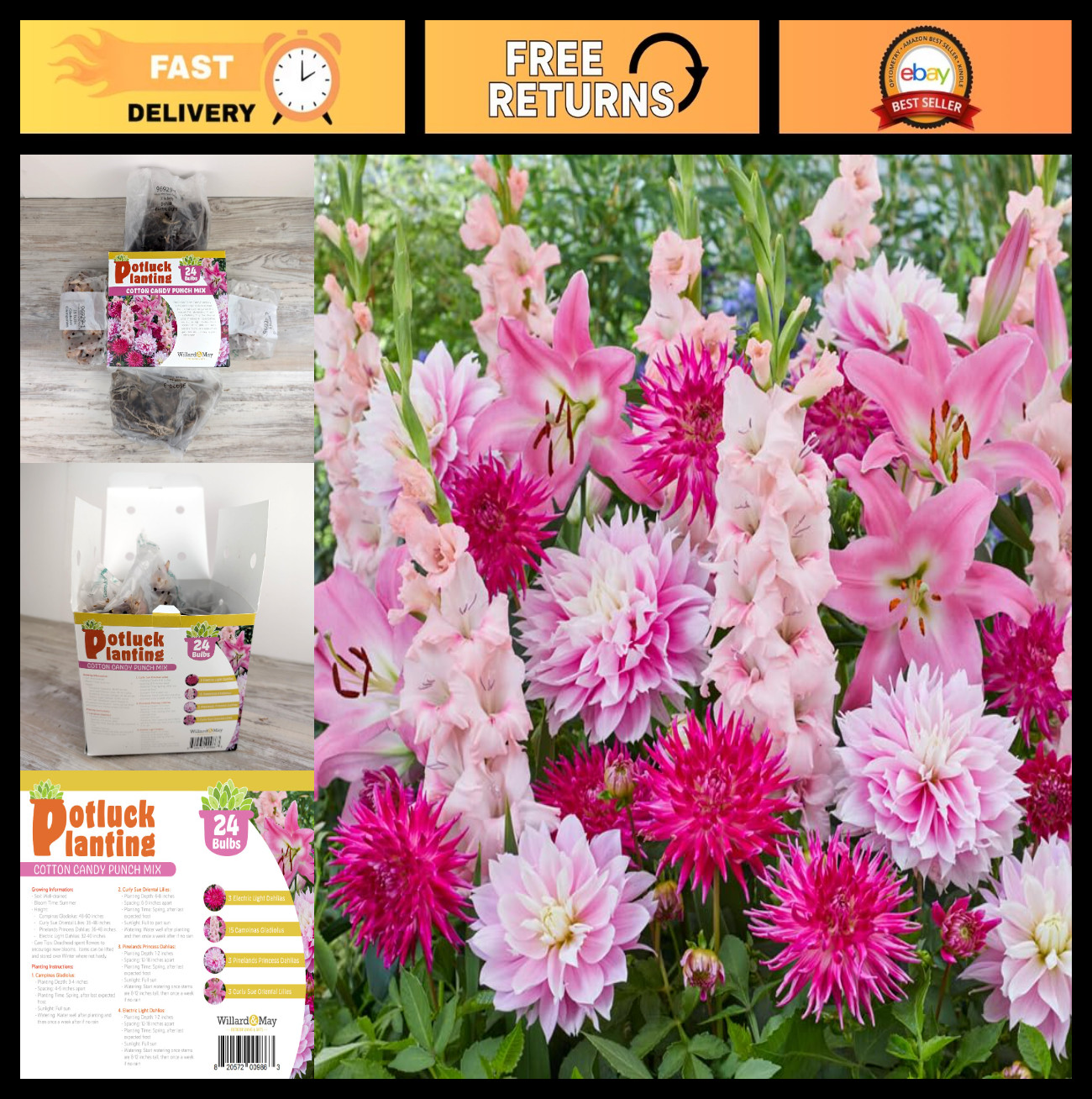 All-in-One Flower Bulb Garden Kit – 24 Bulbs, Dahlias, Gladiolus, Lilies – Easy