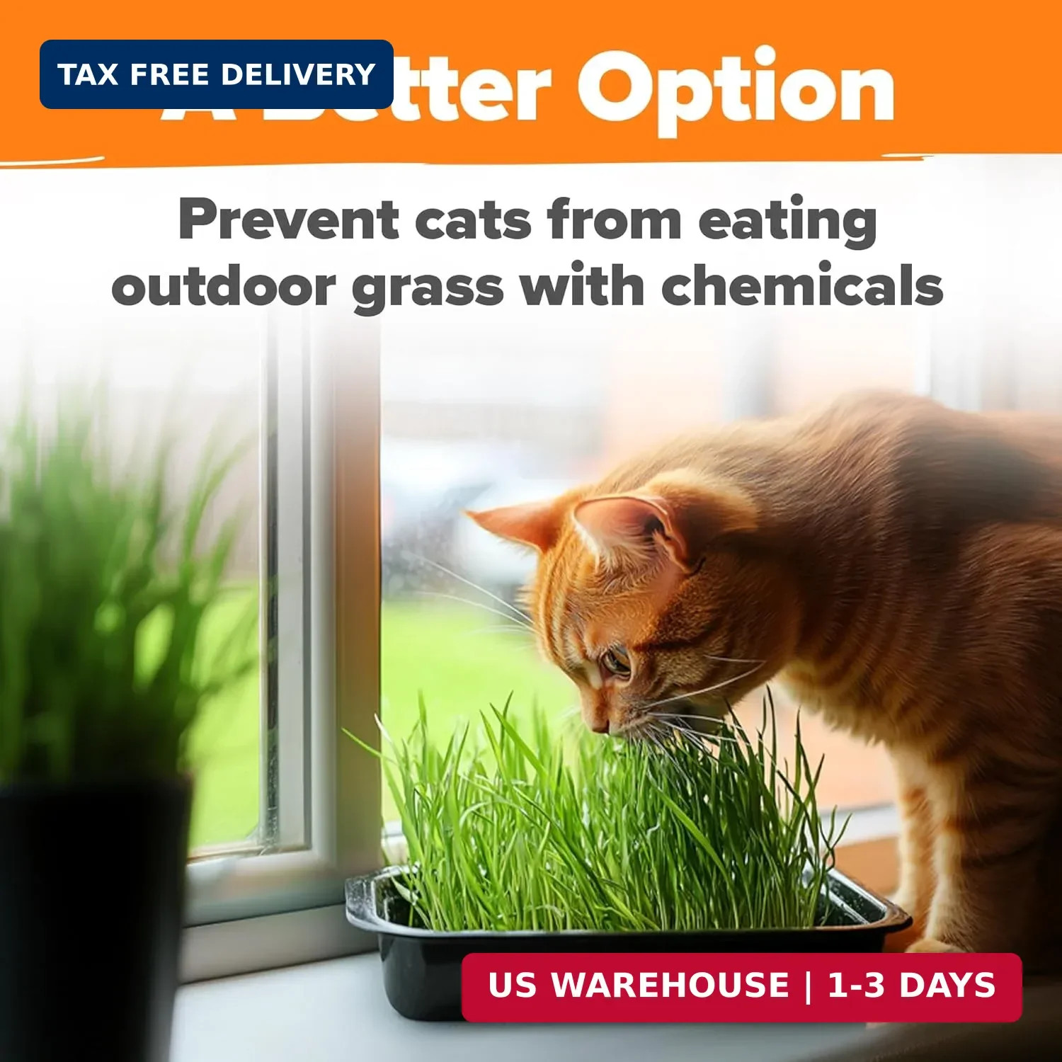 HOME GROWN Organic Cat-Grass Seed Mix (Oat & Barley) – 4 oz – Easy Indoor Plante