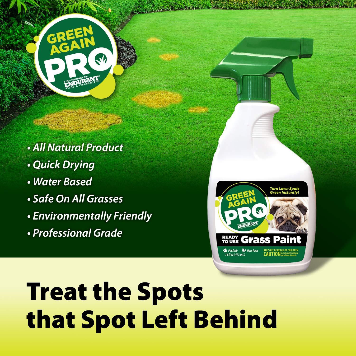 Pre-Mixed Grass and Turf Paint – All Natural Pet-Friendly Lawn Colorant Turns…