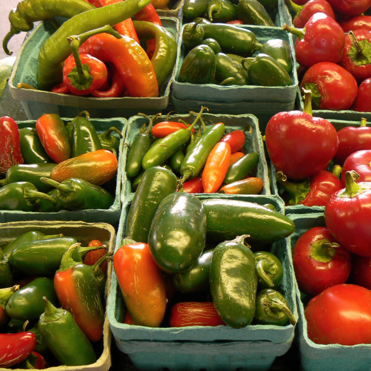 SUPER VARIETY MIXED CHILI PAK 15 VARIETIES SWEET HOT EXOTIC SEEDS HOT NON-GMO