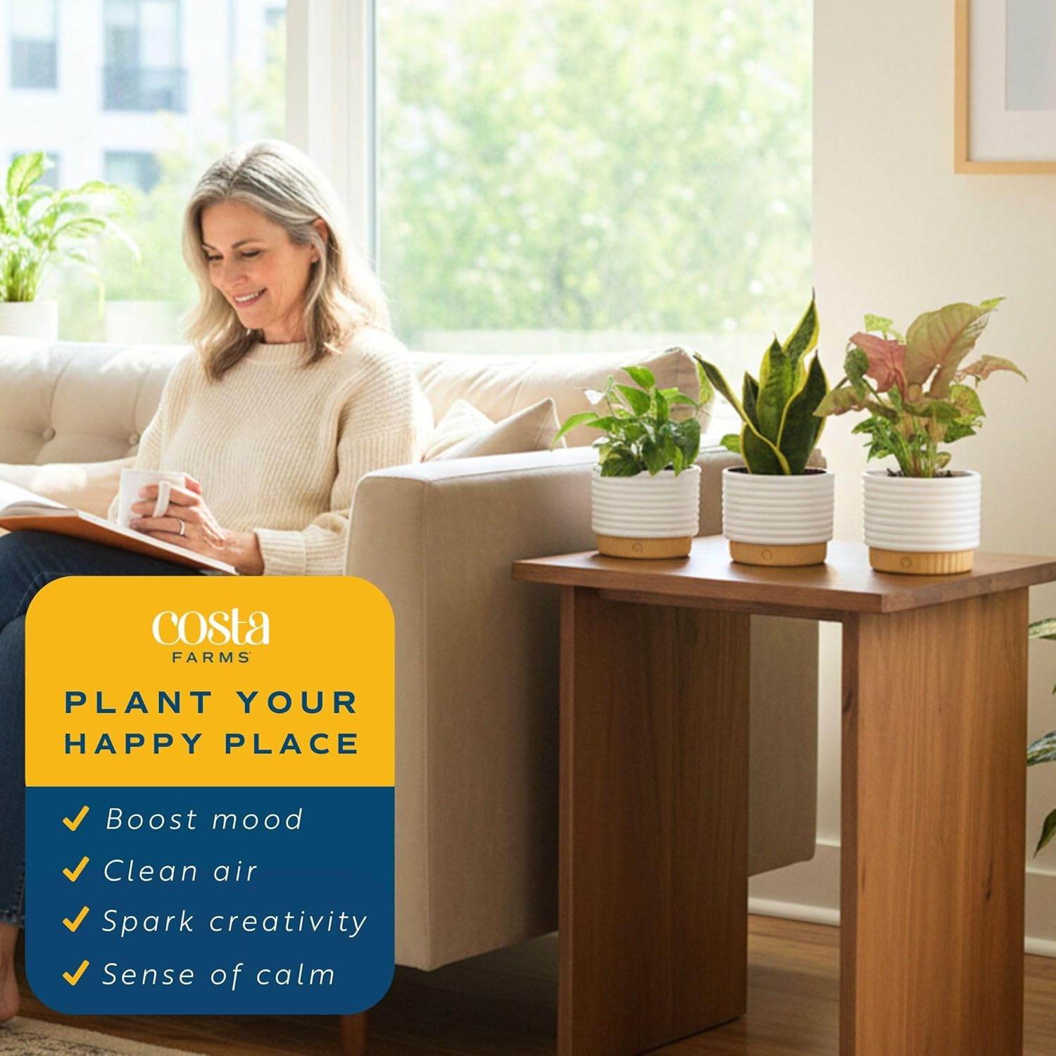 Live Indoor House Plants (3-Pack), Hand Selected Easy to Maintain Indoor Assorte