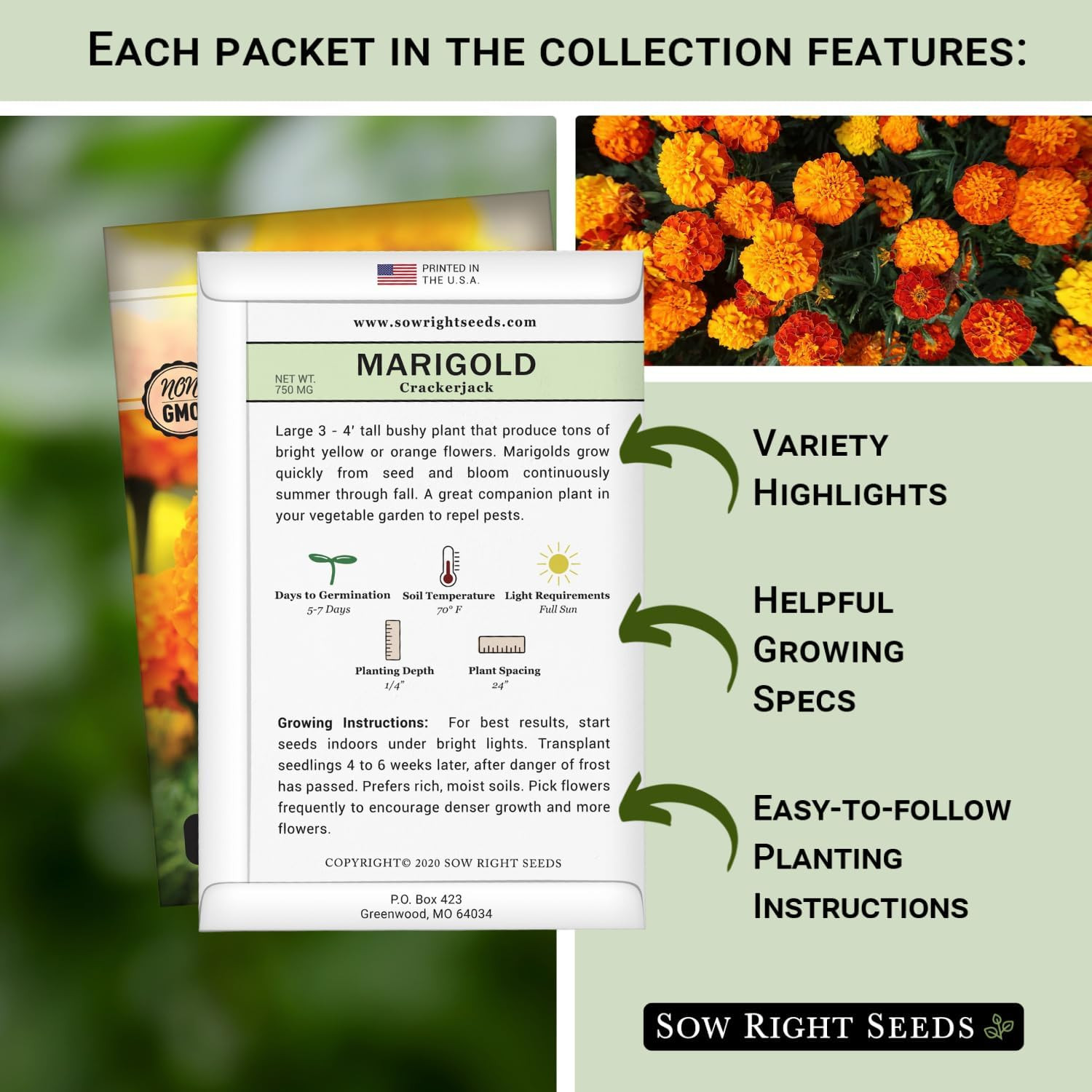– Insect & Pest Repellent Seed Collection for Planting – Lavender, Catnip, Marig