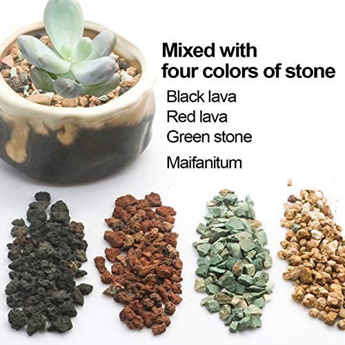 Horticultural Lava Rock Pebbles – Pumice Soil Amendment for Succulents & Cacti –