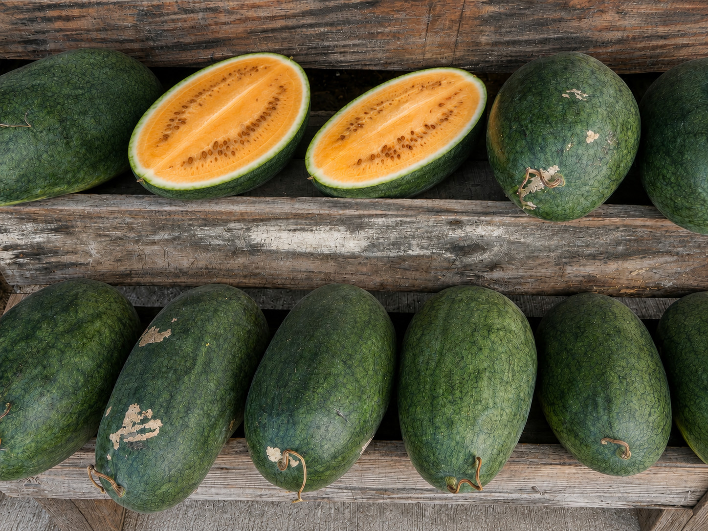 30 Heirloom Sweet Siberian Watermelon Seeds – Orange Petite Early 7-10 LB Melon