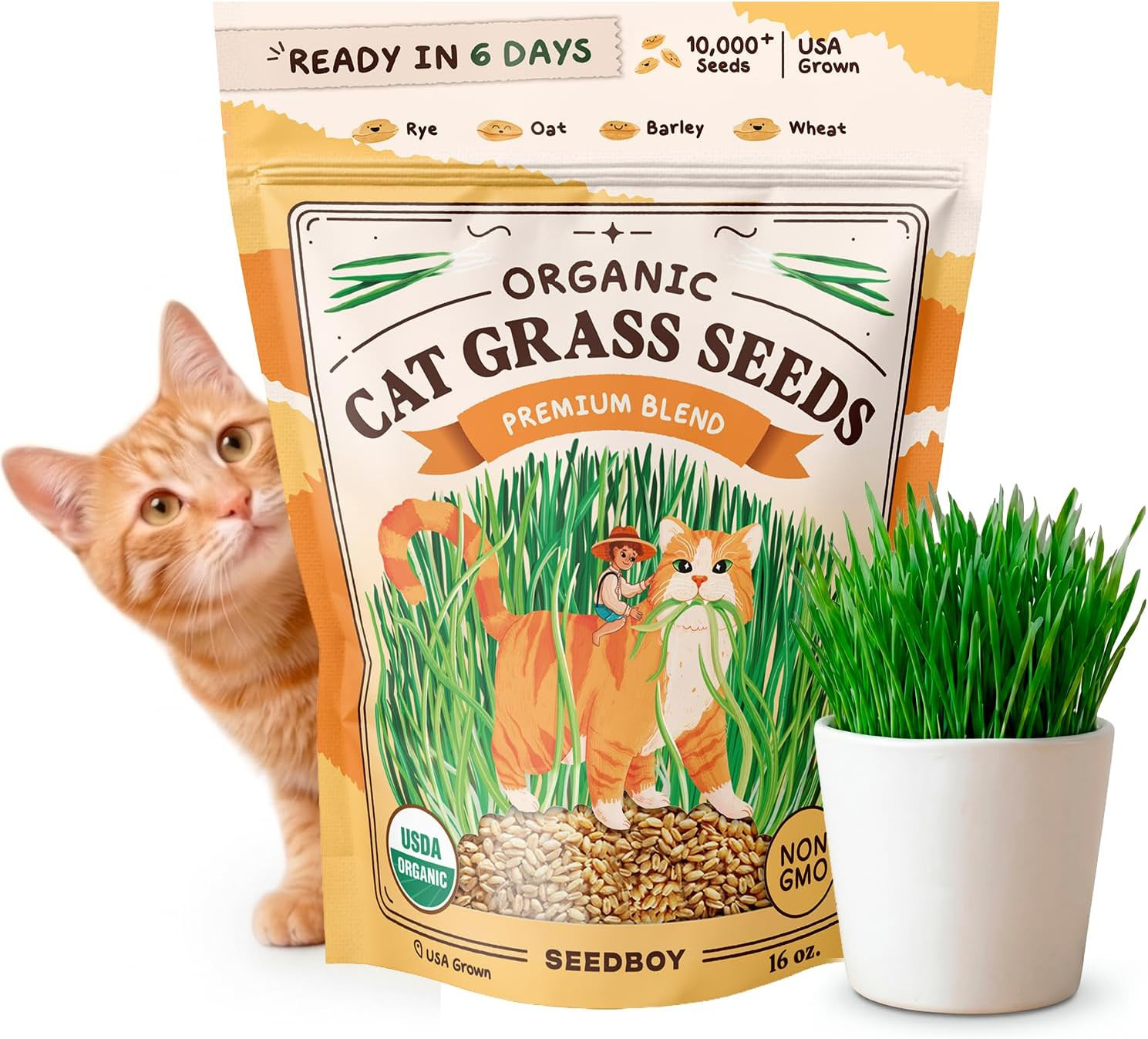 Organic Cat Grass Seeds for Planting, Non-Gmo Wheat, Oat, Rye, and Barley Cat Gr