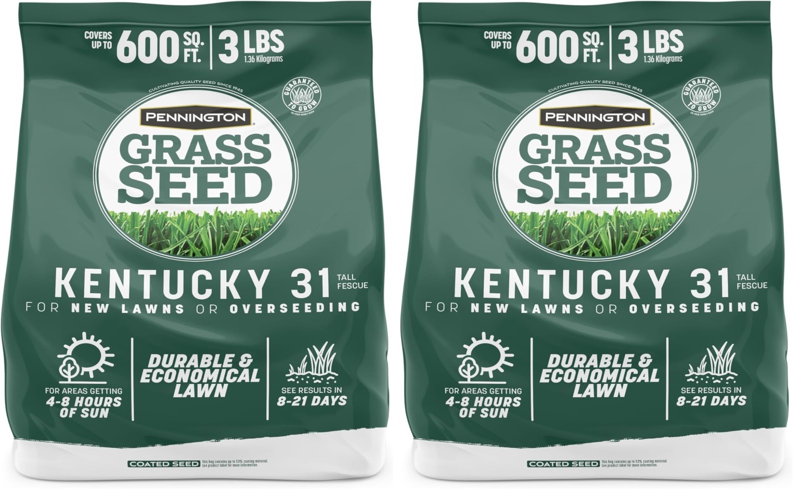 Pennington Kentucky 31 Tall Fescue Penkoted Grass 3 LB (Pack of 2), Green