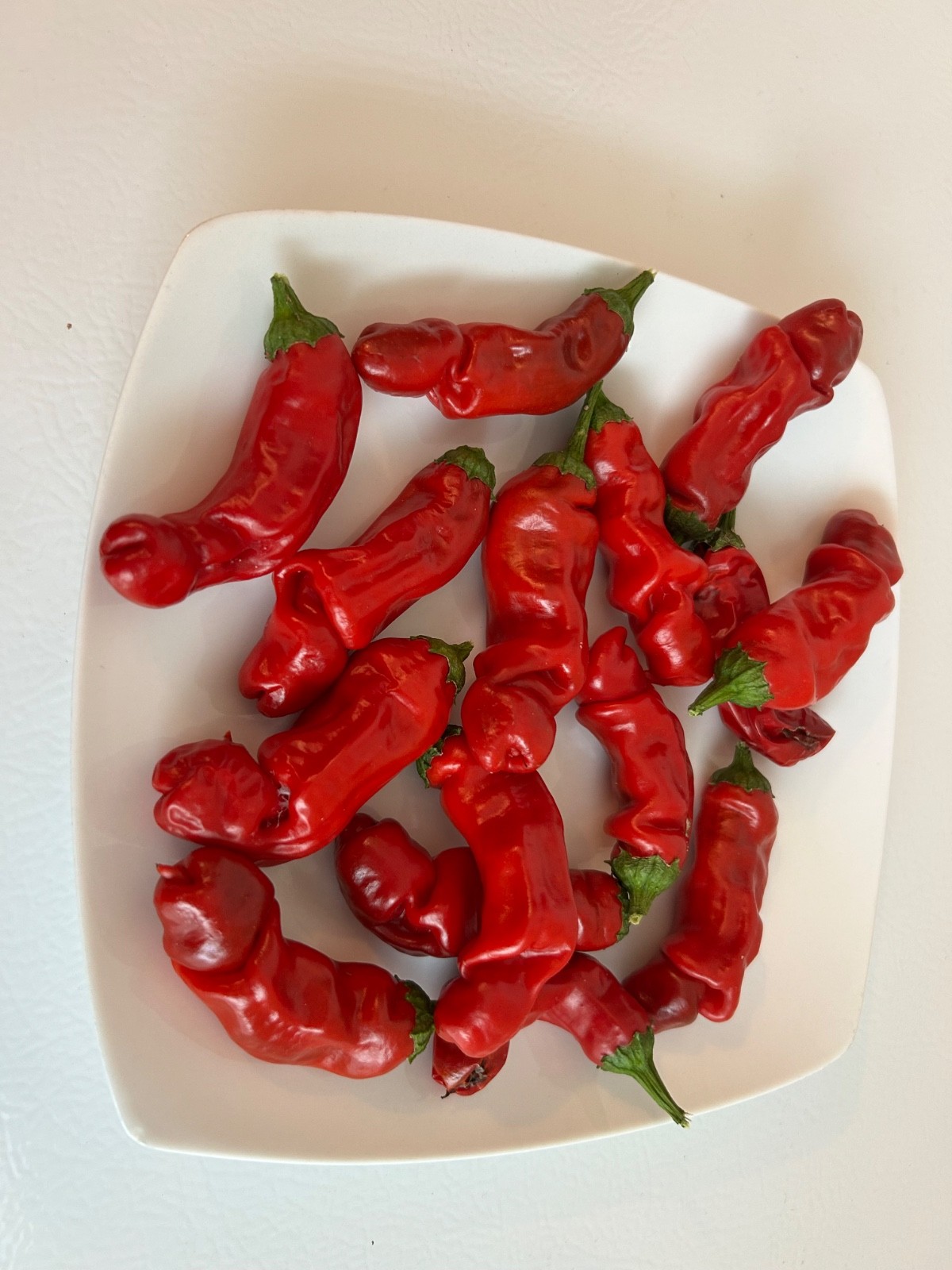 40+ Rare Red Authentic Penis Peter Pepper Seeds. Hot Heirloom Non Gmo
