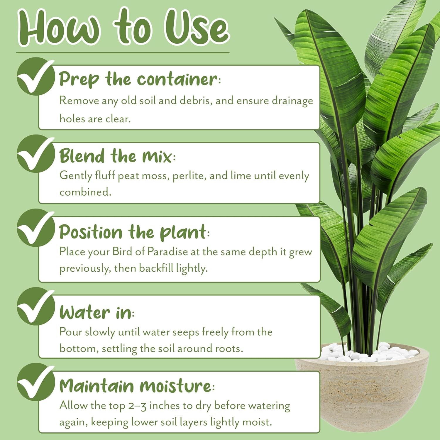 Bird of Paradise Potting Soil Mix (8 Quarts), All Natural for 8 Quarts