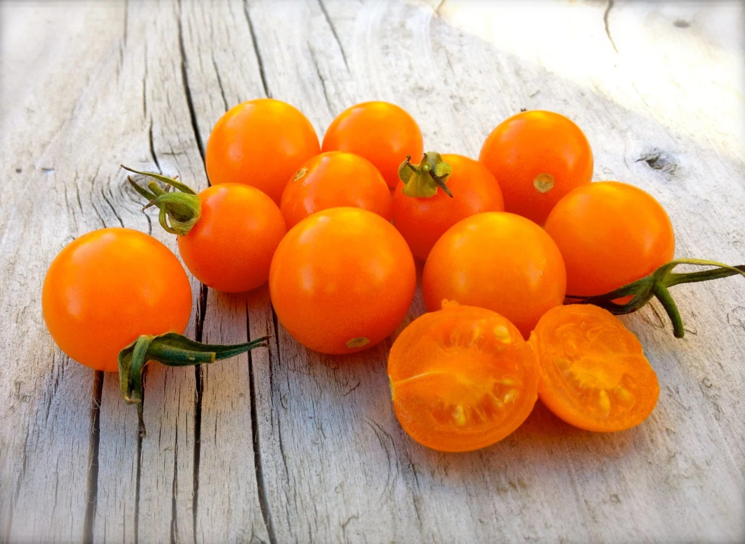 25 Honeycomb F1 Hybrid Orange Cherry Tomato Seeds Sweeter Than Sungold – NonGMO
