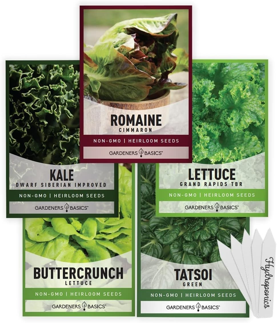 5 Variety Hydroponic Seed Pack: GMO-Free Indoor/Outdoor Greens for Family Gar…