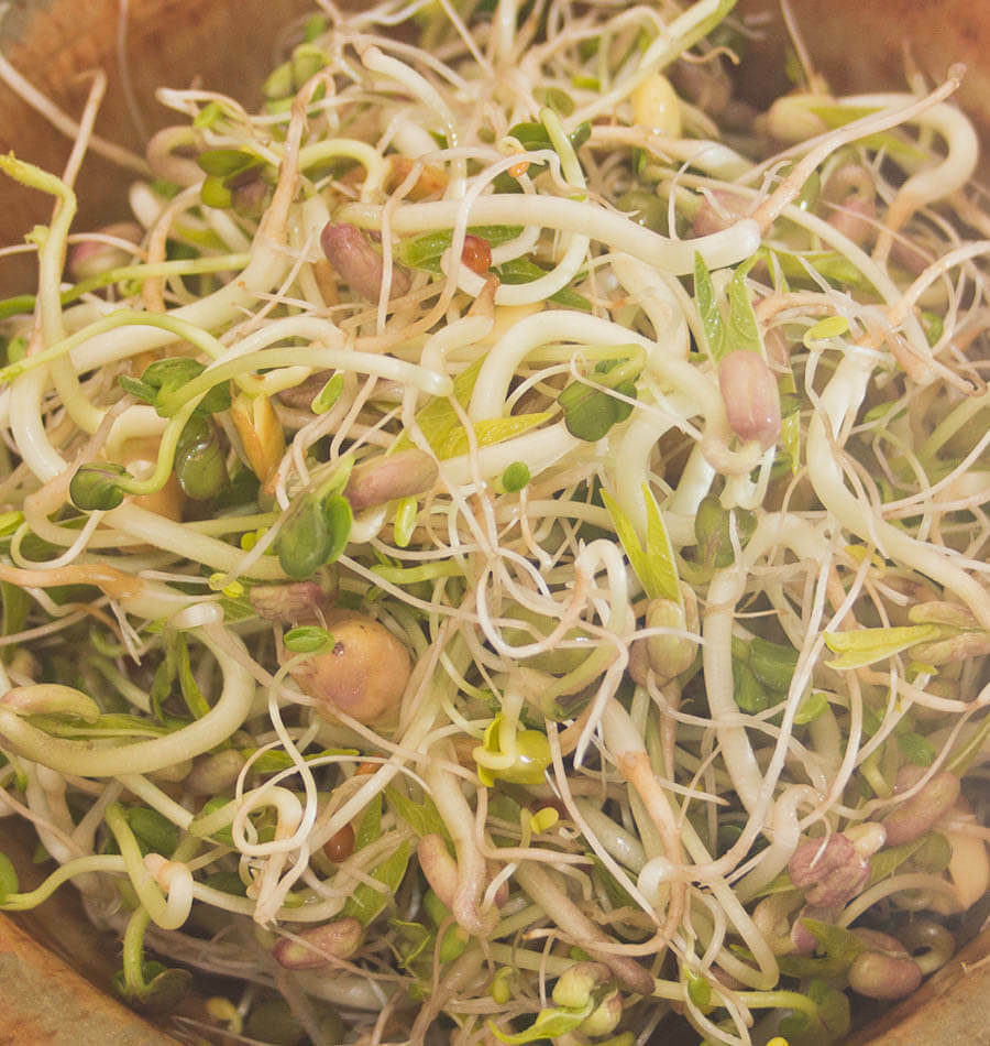Mung Beans,Sprout-able Green Moong Frijol mongo Dry Raw, Great for making Sprout