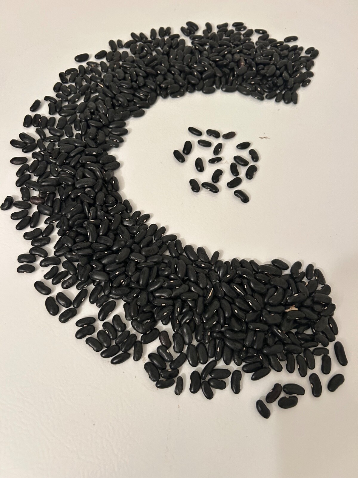 60+ Cobra Bean Seeds Phaseolus vulgaris Sweet Heavy Producer