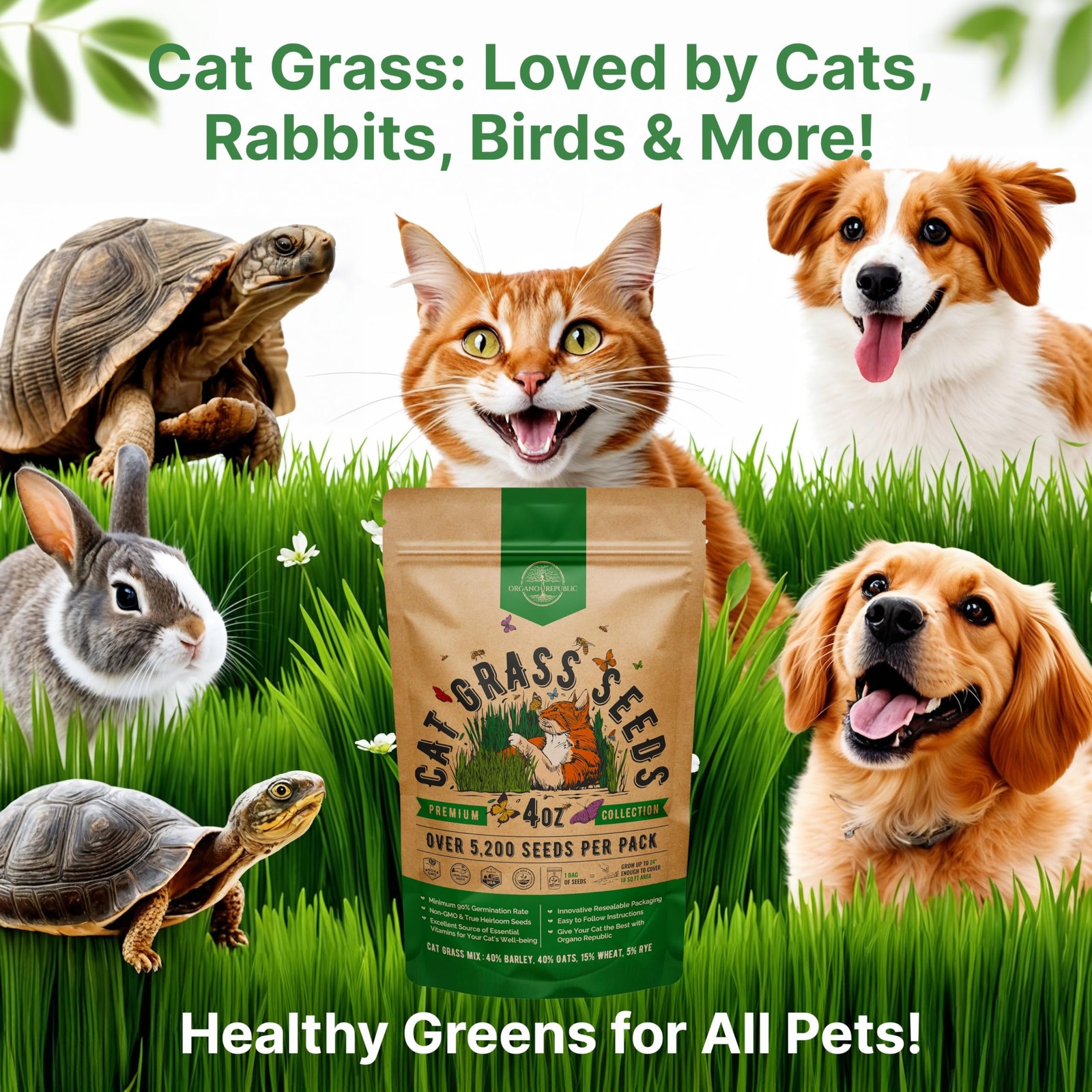 Cat Grass Seeds Mix 5,200 NonGMO Heirloom Seeds for Cats & Pets, 4 oz Pack f…
