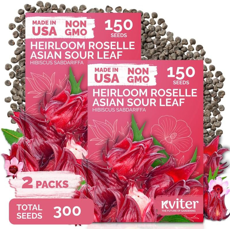 300 Roselle Seeds for Planting , 2 Pack – Jamaican Sorrel/Cranberry