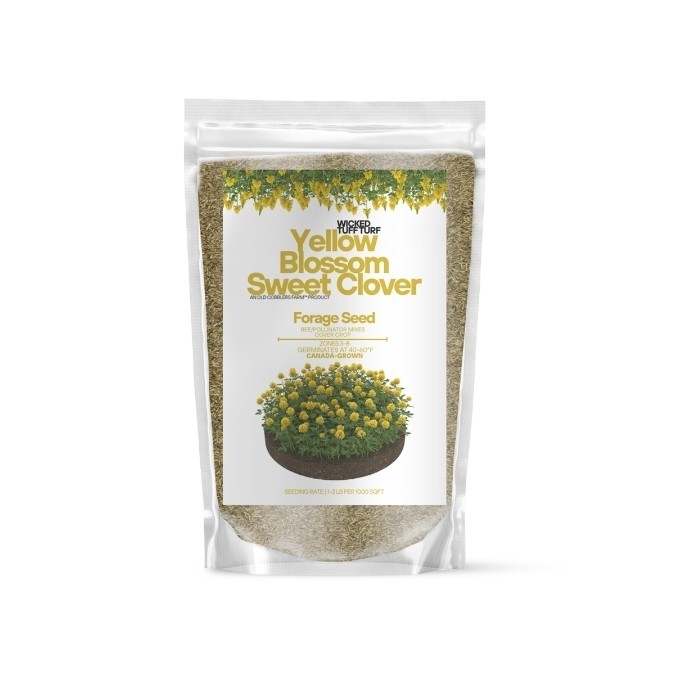 Old Cobblers Farm™ Wicked Tuff Turf Yellow Blossom Sweet Clover – Vibrant Legume