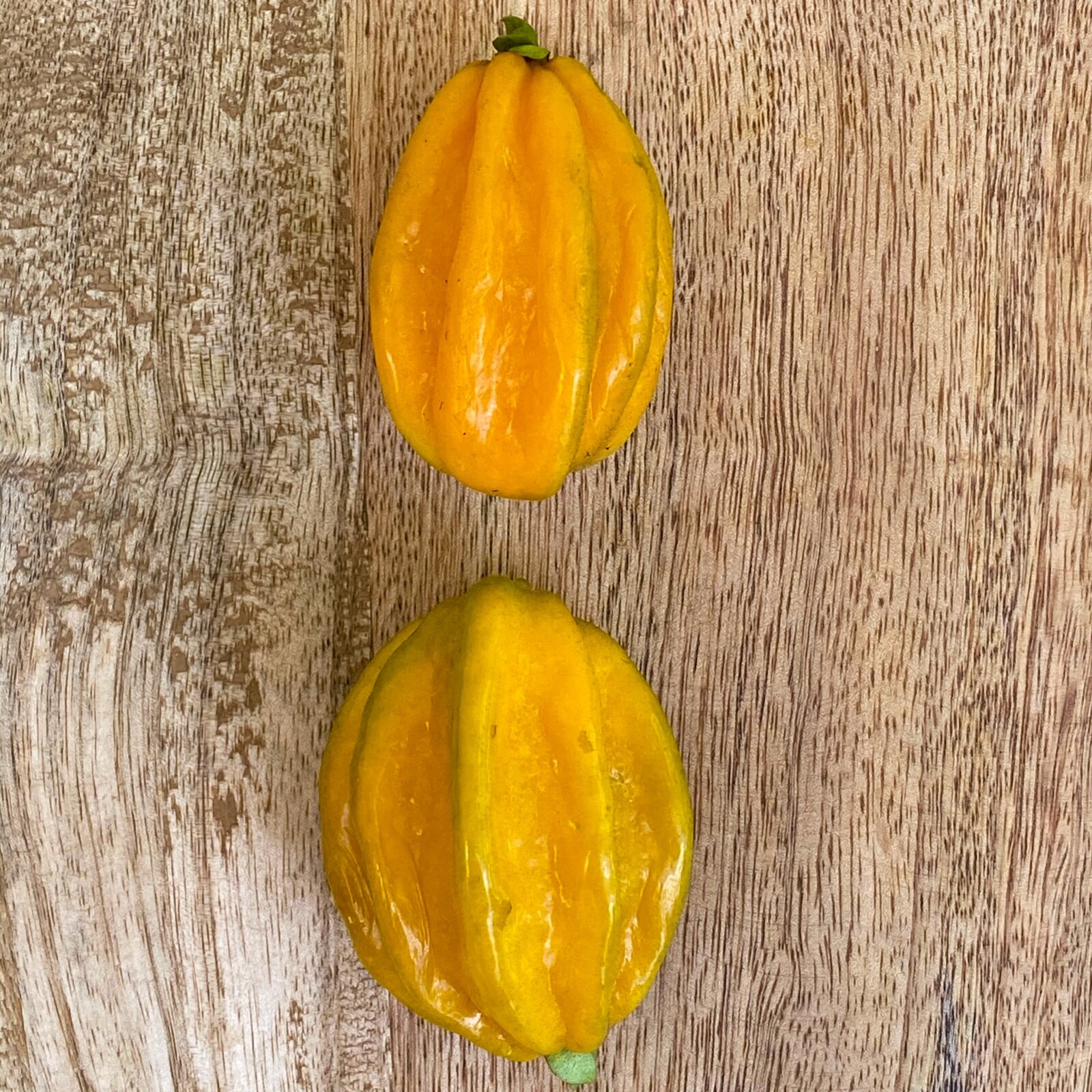 Pitangatuba ‘Big Elongated Fruit’ Star Cherry Eugenia Selloi neonitida PLANT