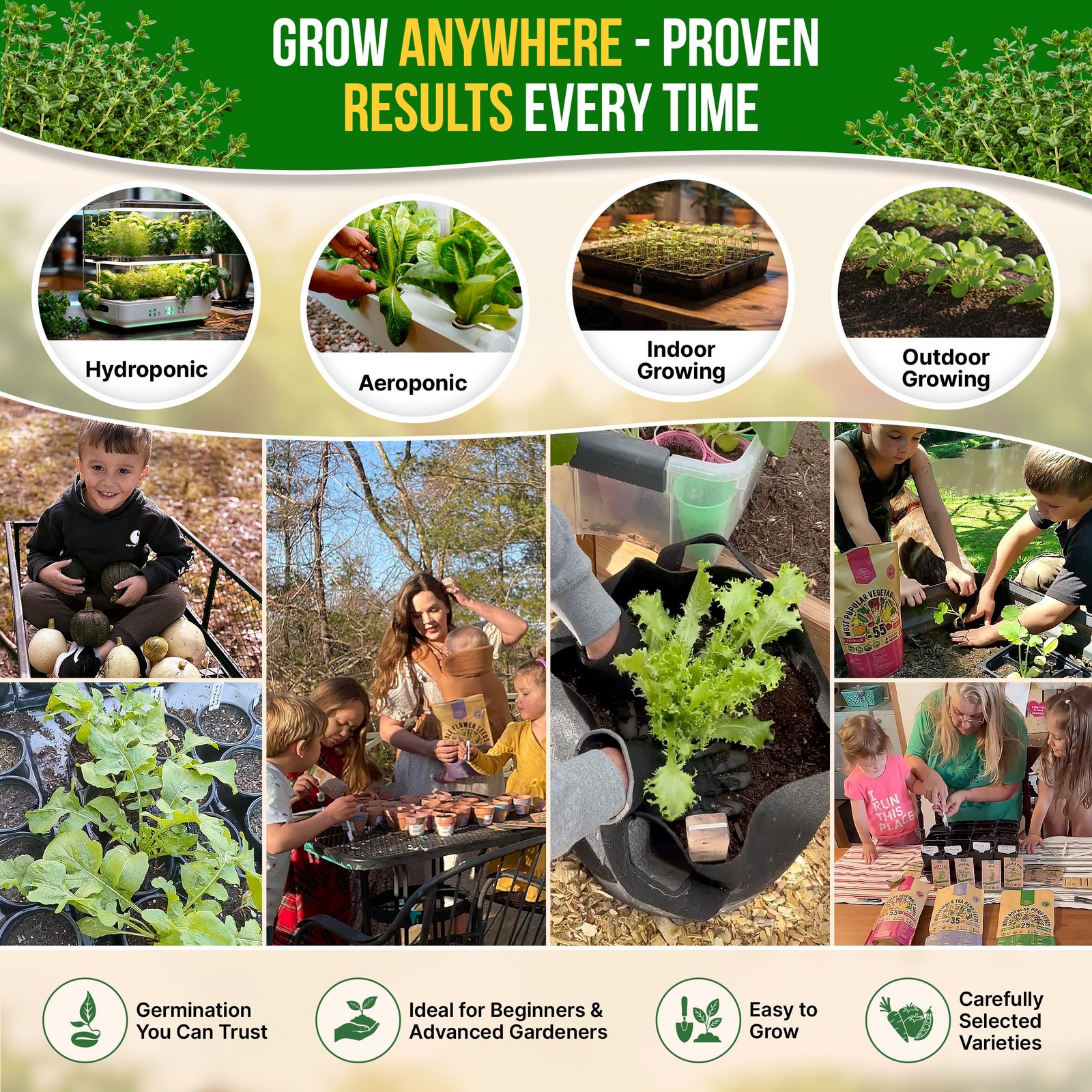 Thyme Seeds Pack 0.5 G – Over 1,350 Non-GMO Heirloom 0.5G, Green