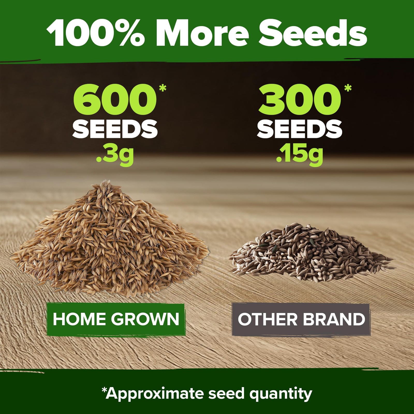 HOME GROWN Dandelion Seeds for Planting 600 Heirloom Medicinal 1-Pack, Green