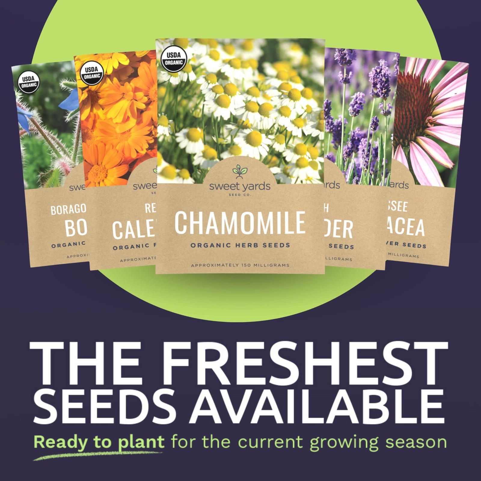 Organic Edible Flower Seeds Variety Pack – 9 Individual Packs – 2026 Season…