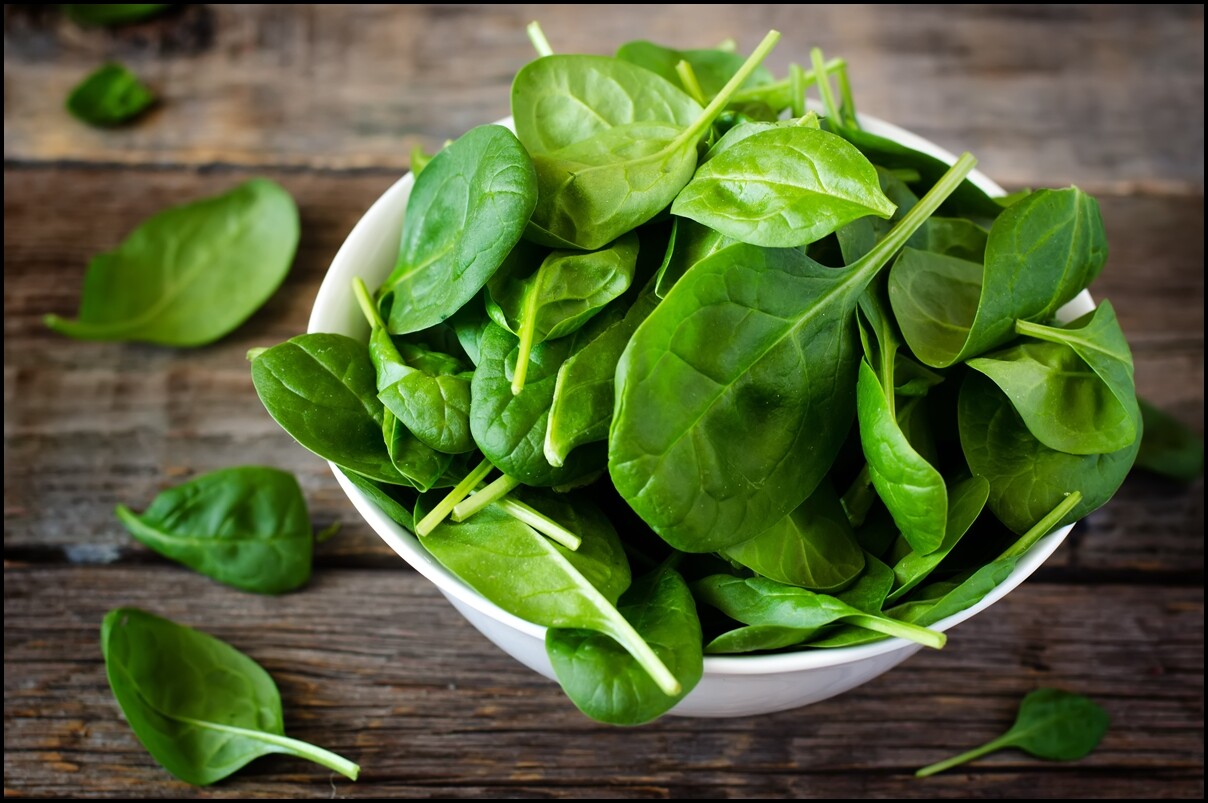 HEIRLOOM SALAD GARDEN SEEDS lettuce, spinach, tomato, radish, zuke NON-GMO!