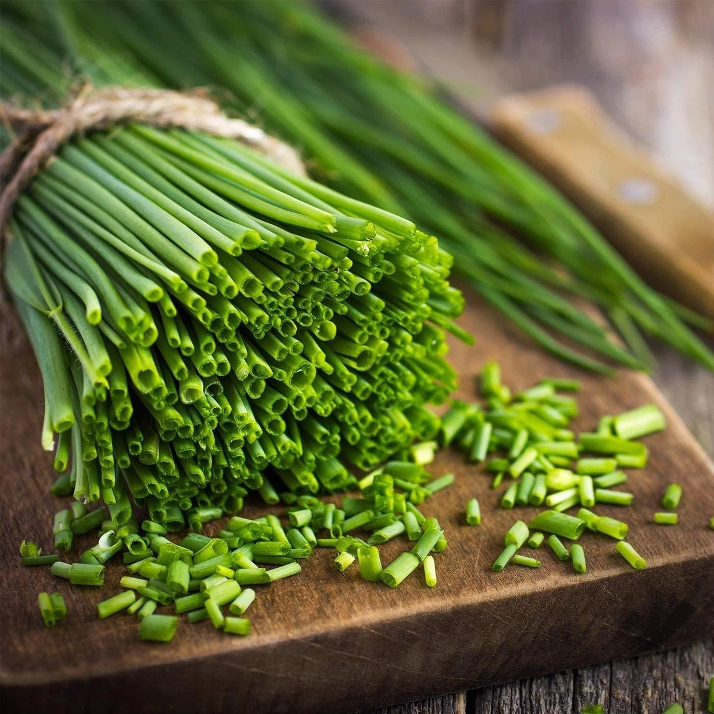 1000+ CHIVES SEEDS — GREEN ONION ———— PERENNIAL — MOSQUITO REPELLENT