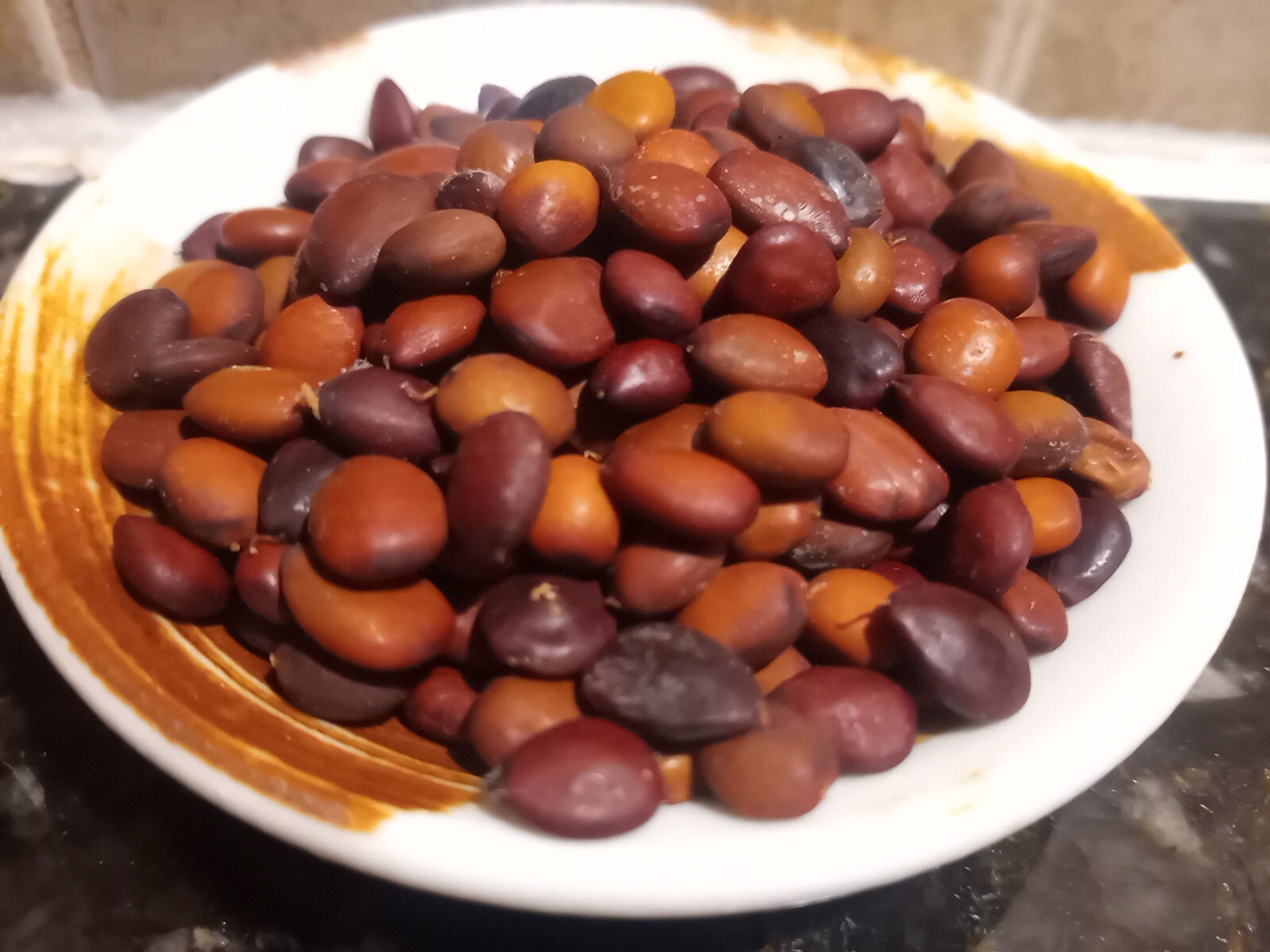 30 Carob Tree Seeds “Ceratonia Siliqua” wild-crafted Biblical fruit raw