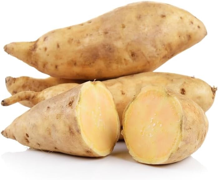 White Sweet Potato Slips