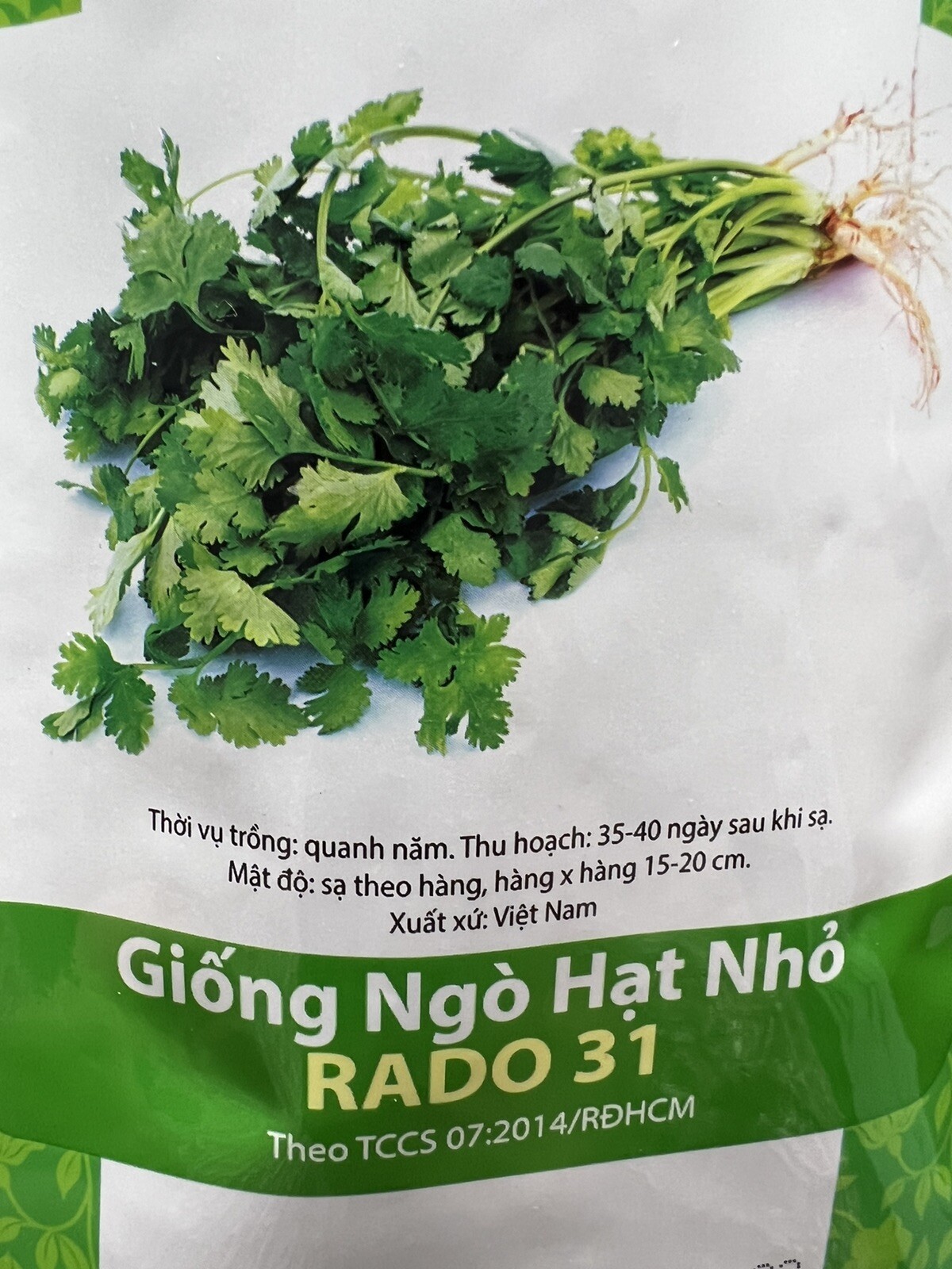 5gr Cilantro Seeds |Coriander Seeds( hột ngò rí mùi thơm giống Hạt Lớn Mạnh