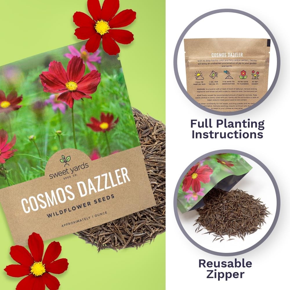 Dazzler Cosmos Wildflower Seeds – Extra Large 1 Ounce Packet – Over 5000 Fresh