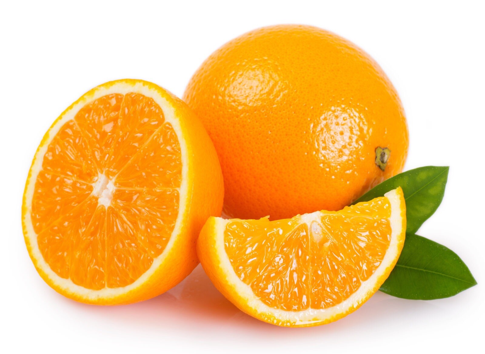 For Florida only!! Washington Navel Orange Tree, 26-30” tall, grafted