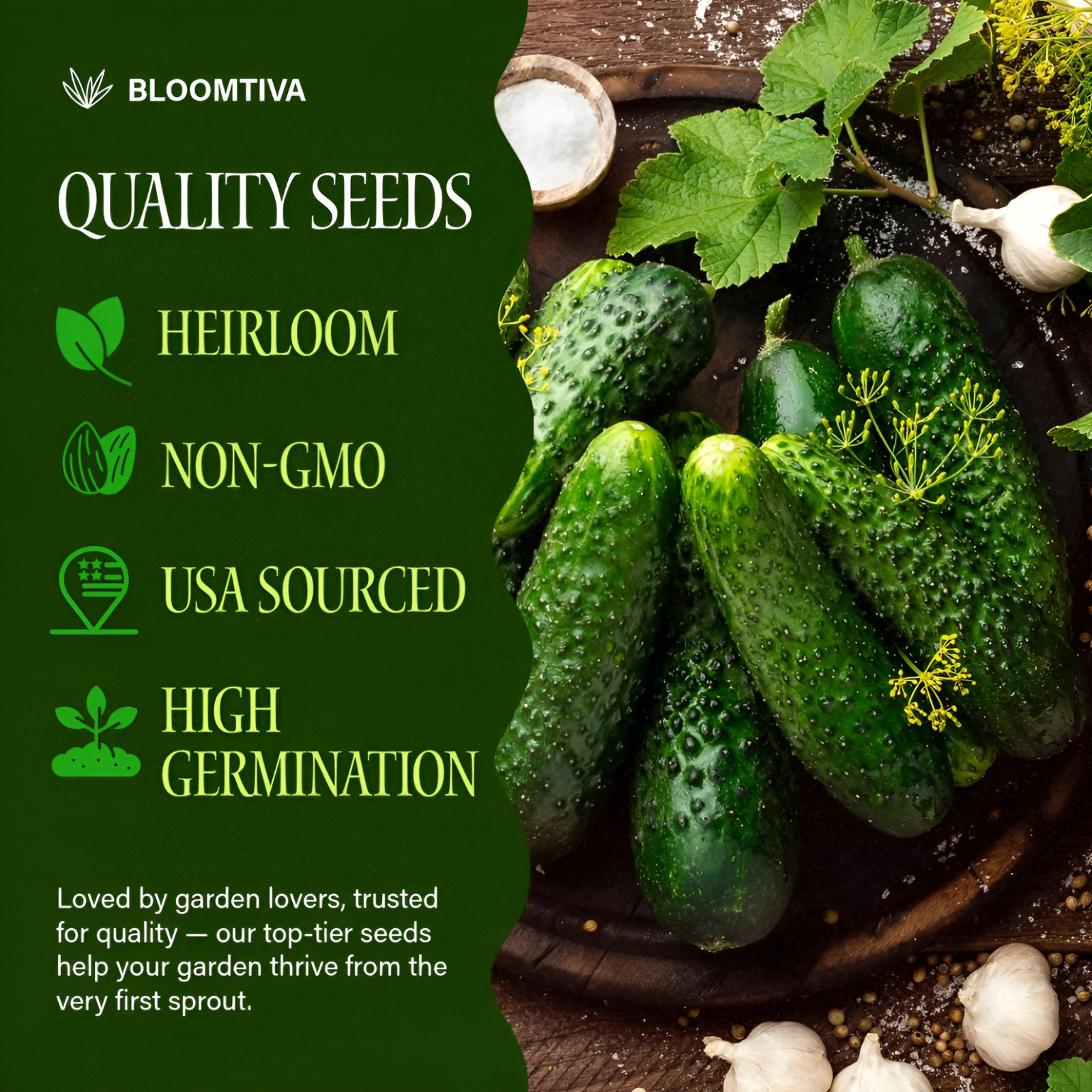 150 Boston Pickling Cucumber Seeds for Planting – 𝗡𝗢𝗡-𝗚𝗠𝗢 Heirloom Seeds