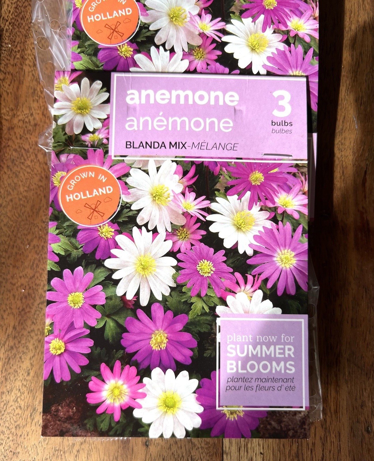 FLOWER SEED PACKS Mixed Lot HOLLAND Vibrant COLOR Varieties 24 Packages BULBS