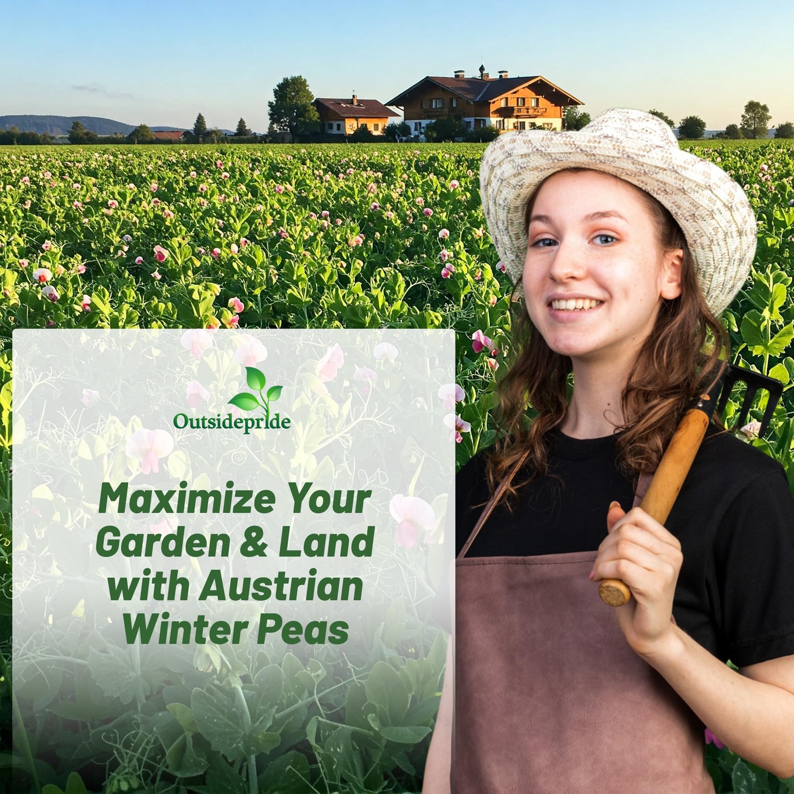 10 LBS Austrian Winter Peas Cover Crop Seeds