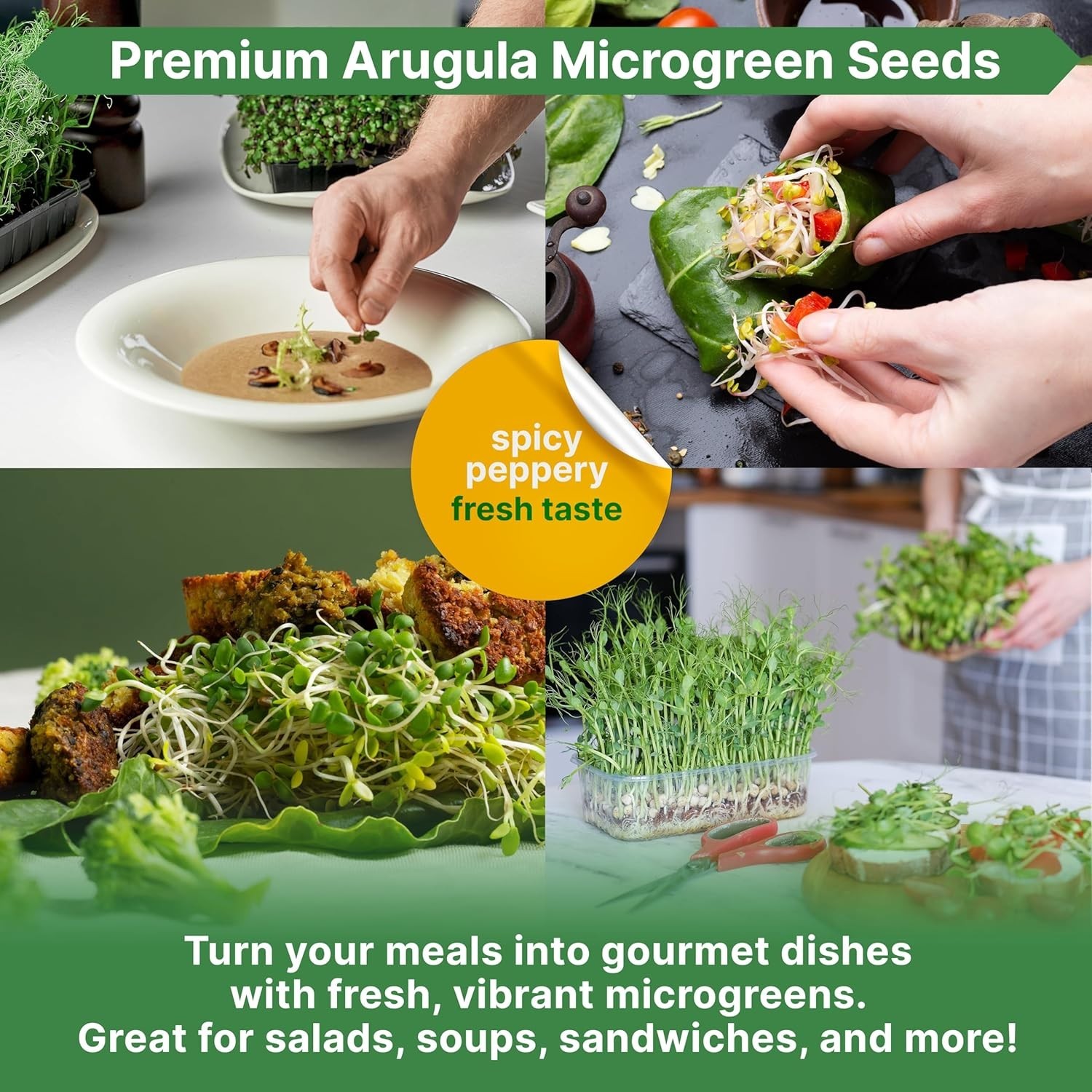 Arugula Sprouting Seeds 1lb Non GMO Heirloom High Germination Rate Fresh Greens