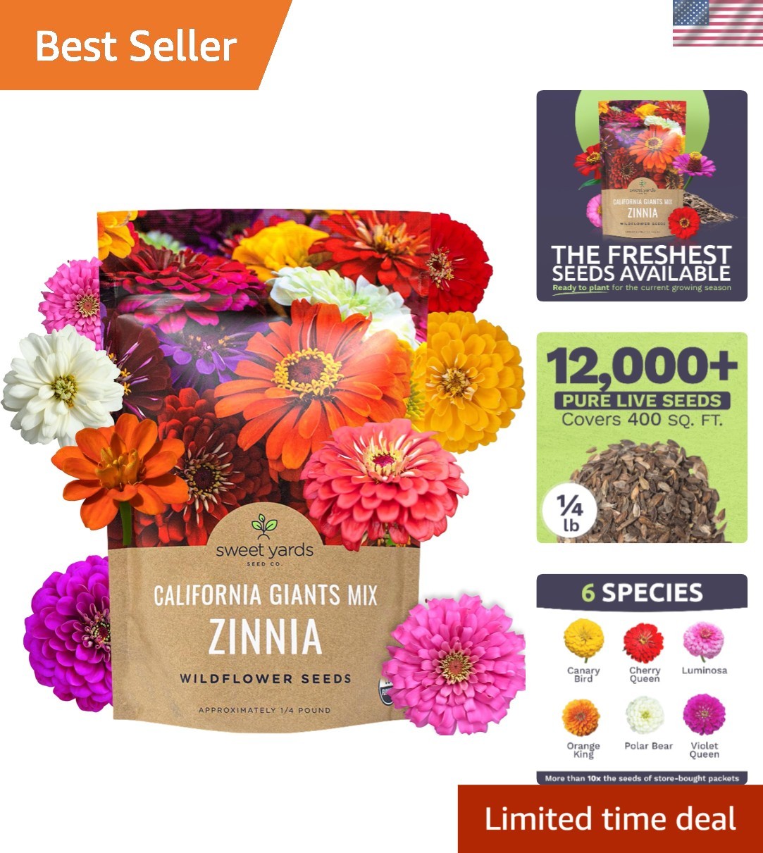 Massive Bulk Zinnia Seeds – California Giants Mix – Perfect for Garden Displays