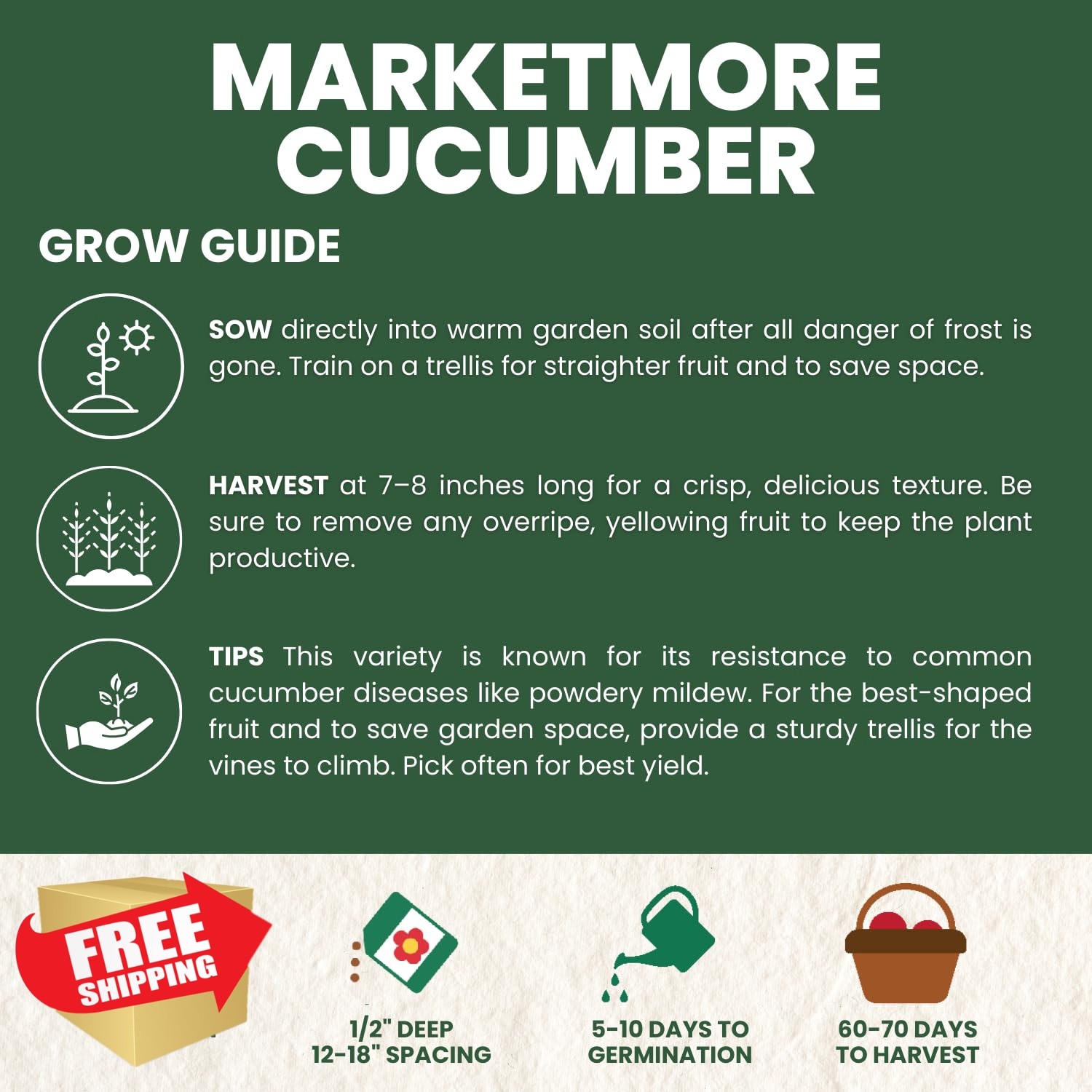 FAMILY SOWN Marketmore Cucumber Seeds