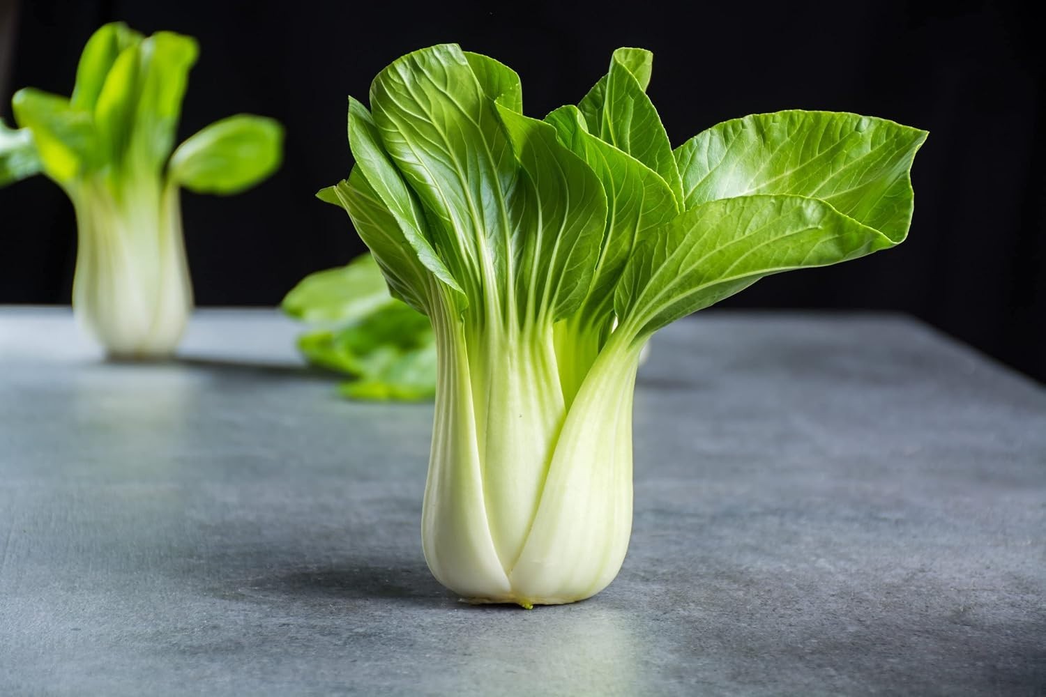 Pet-Friendly 1000 Count Baby Bok Choy Seeds – Heirloom Non-GMO for Easy Growing