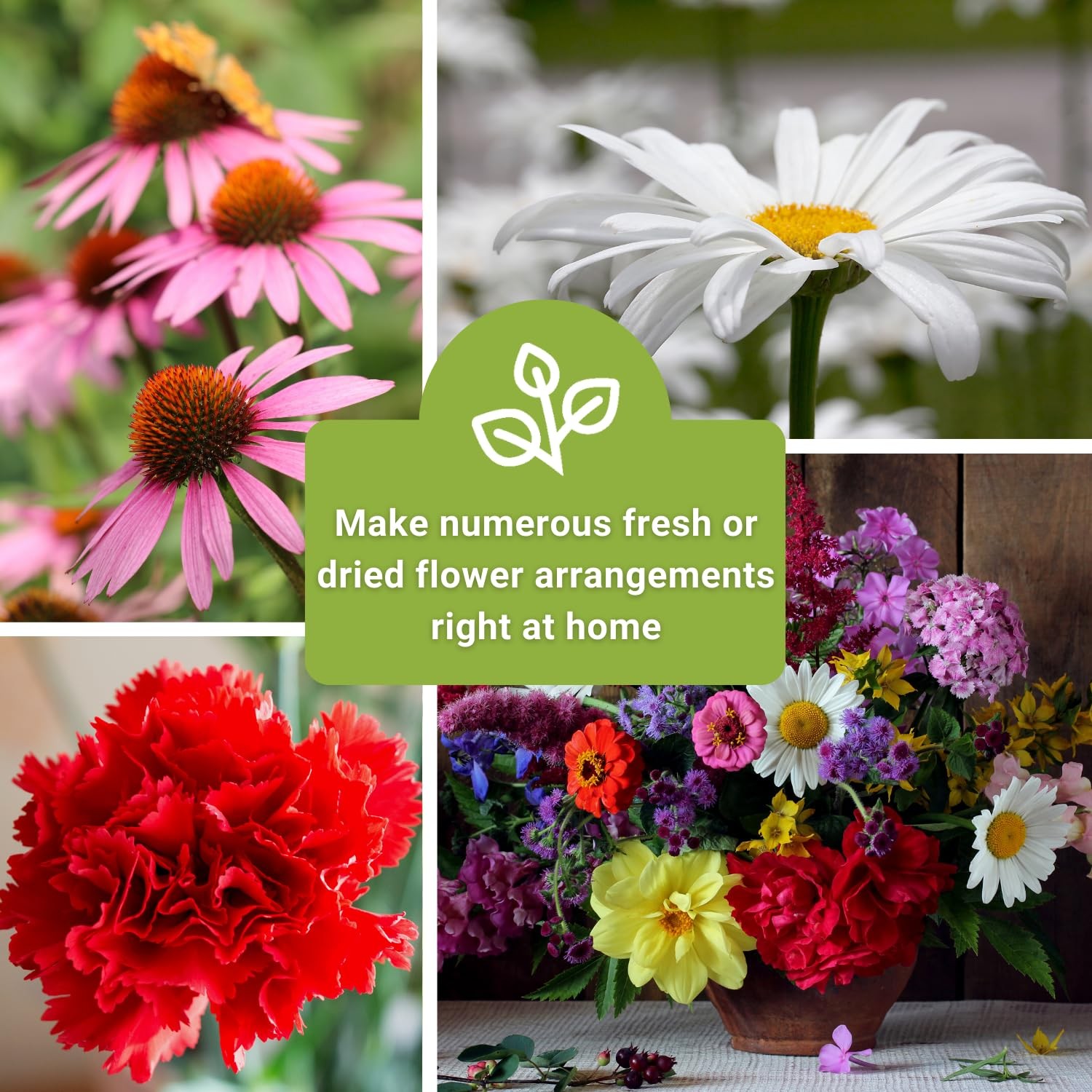 – Large Flower Farm Collection for Planting – Zinnias, Sunflowers, Daisies, C…