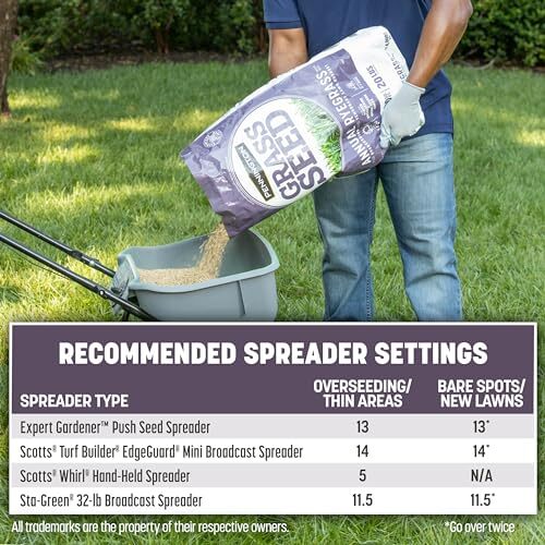 Pennington Annual Ryegrass 25 lb Bag for Overseeding Warm Season Grasses