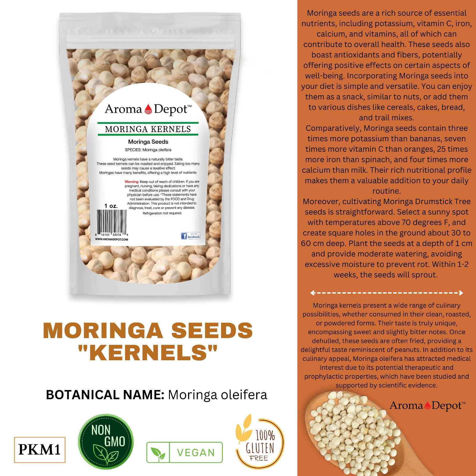 Moringa KERNELS 1 oz. Seeds oleifera Shelled 125 Semilla De Moringa Wholesale