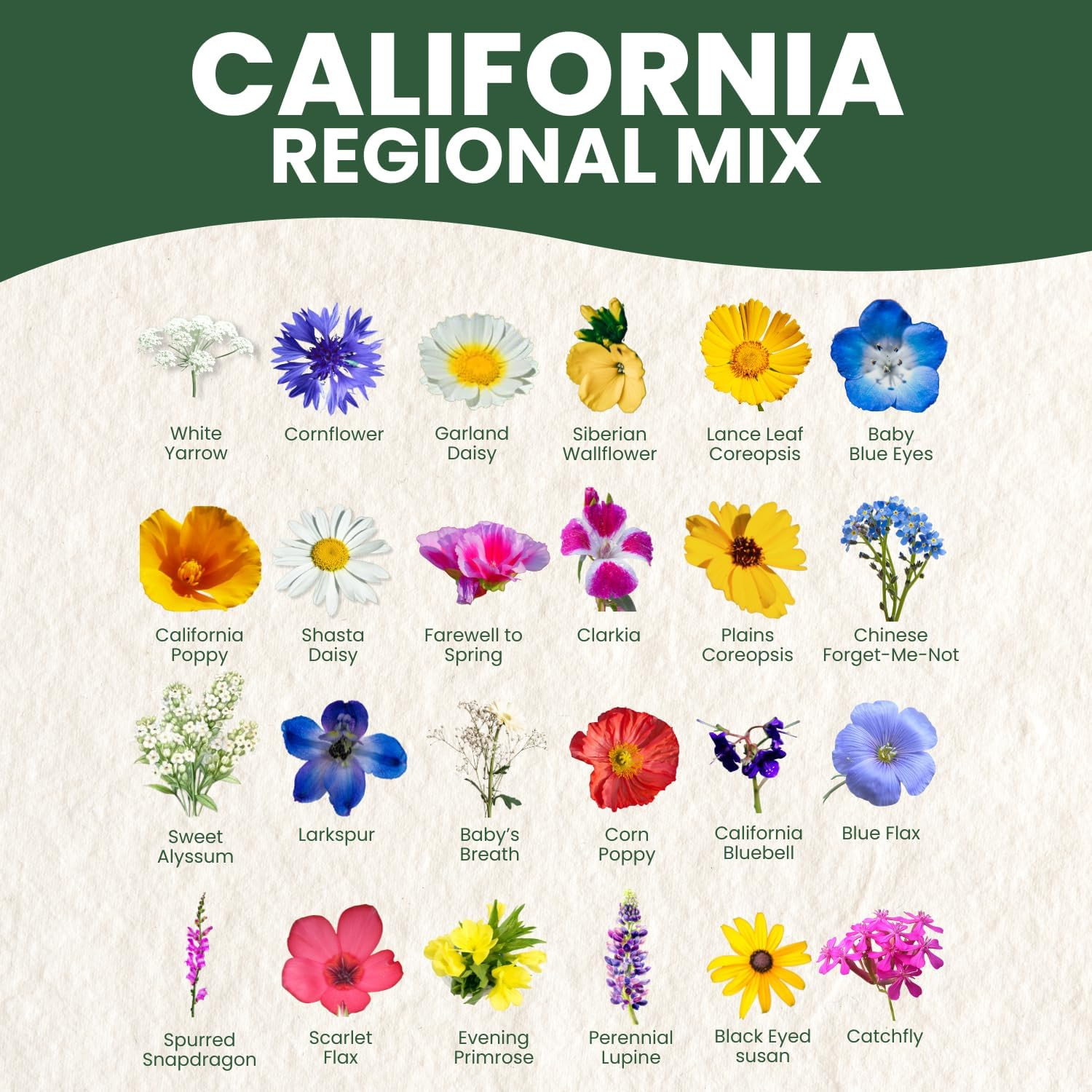 California Regional Mix – 79,000 Seeds for Planting – 2026 Season – 4 Ounce Pouc