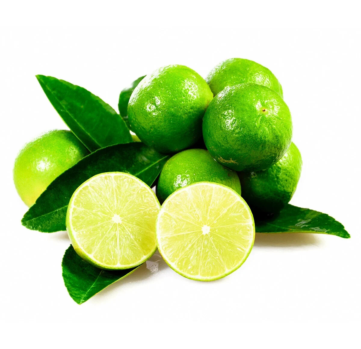 Mexican Key Lime Tree 3-4″ – Live Plant – Sapling