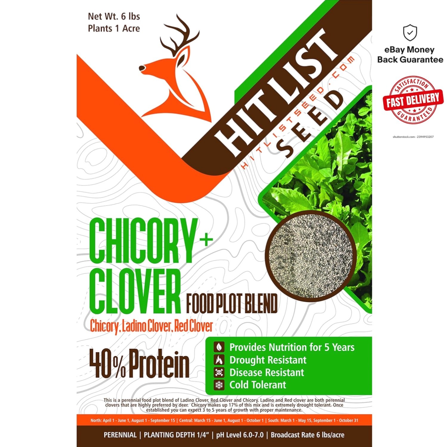 Organic Chicory + Clover Seeds for Deer – Perennial Food Plot – 1 Acre Coverage